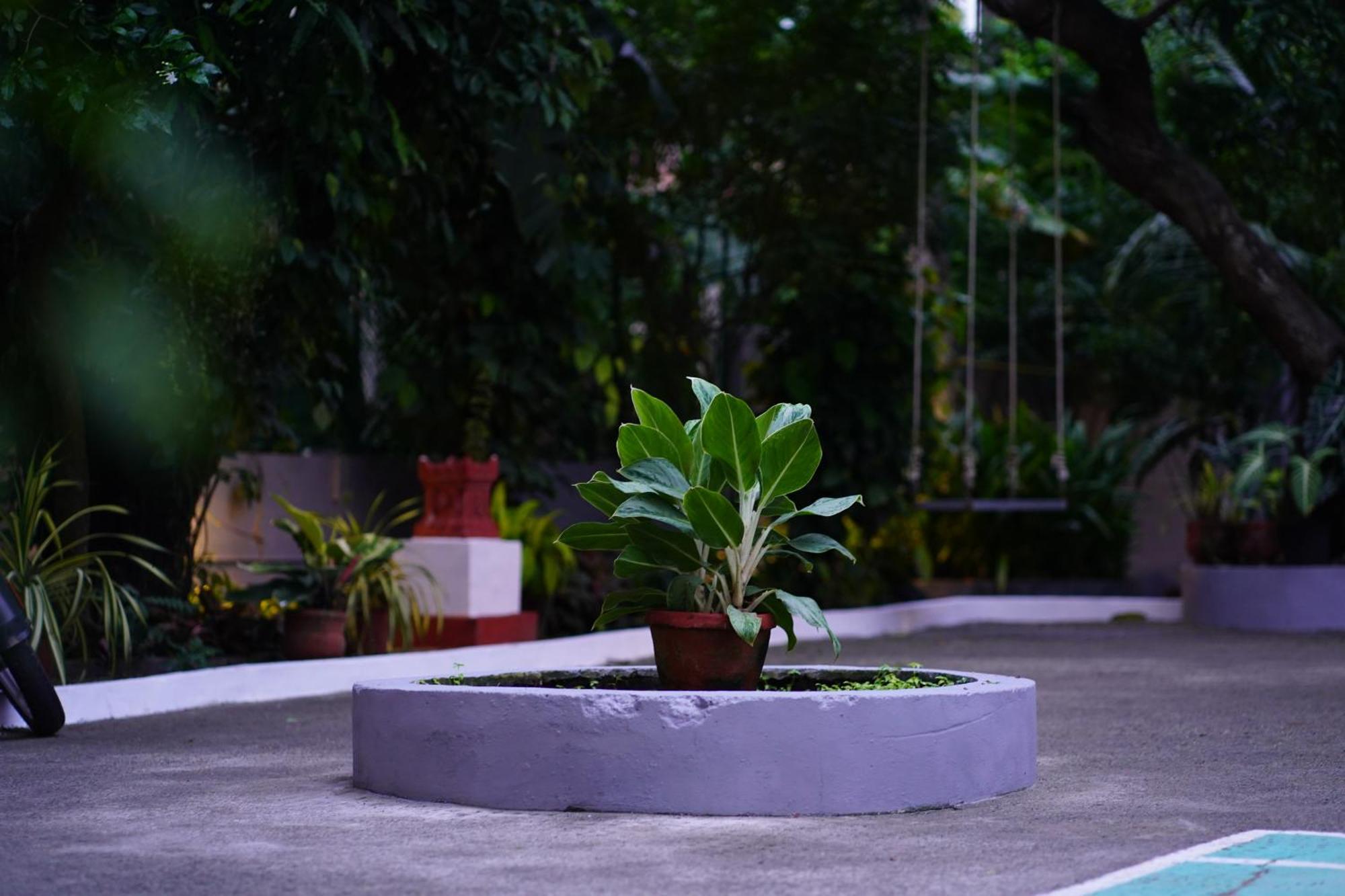 Remasailam Homestay - Thiruvananthapuram , Calm & Blend With Nature المظهر الخارجي الصورة